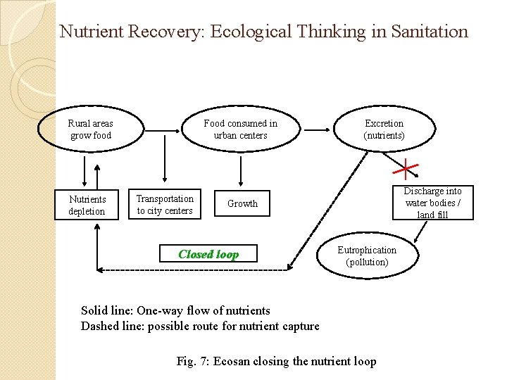 Nutrient Recovery: Ecological Thinking in Sanitation Rural areas grow food Nutrients depletion Food consumed