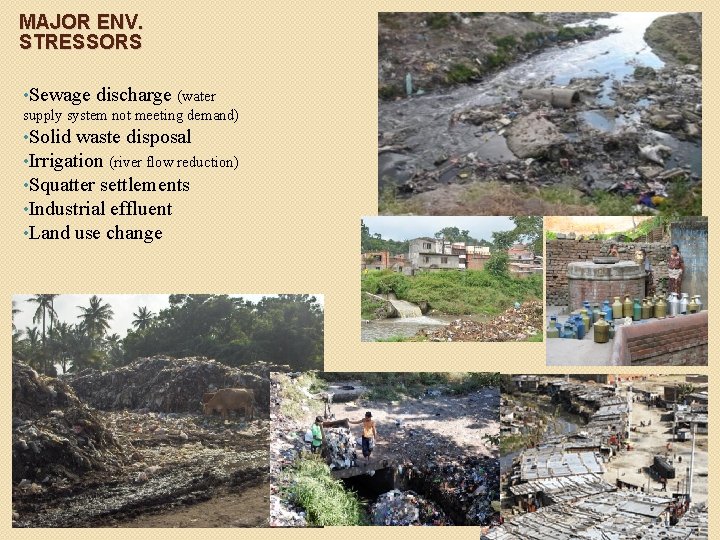 MAJOR ENV. STRESSORS • Sewage discharge (water supply system not meeting demand) • Solid