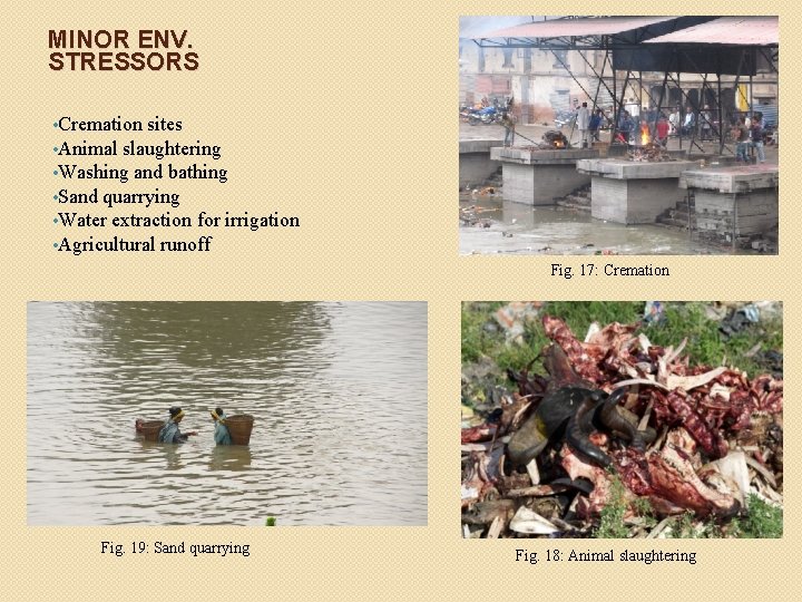 MINOR ENV. STRESSORS • Cremation sites • Animal slaughtering • Washing and bathing •