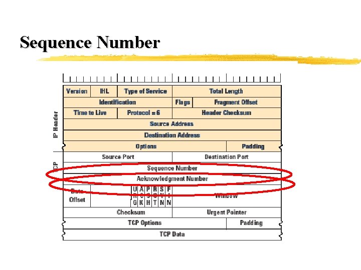 Sequence Number 