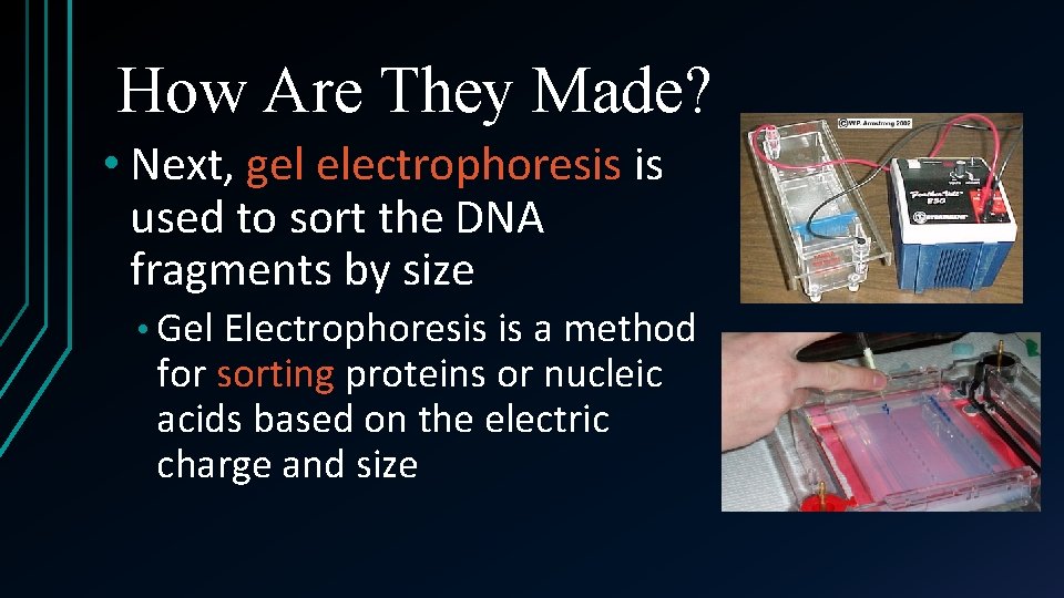 How Are They Made? • Next, gel electrophoresis is used to sort the DNA