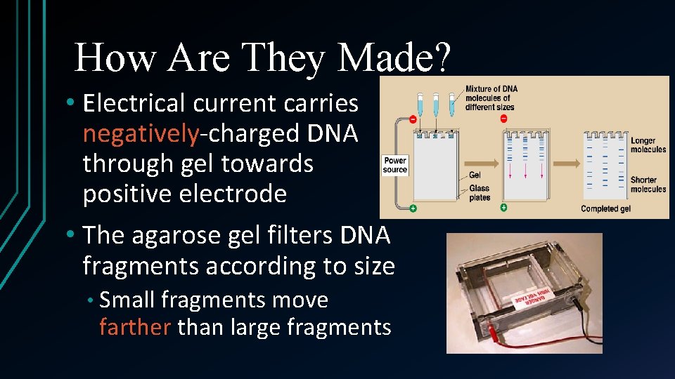 How Are They Made? • Electrical current carries negatively-charged DNA through gel towards positive