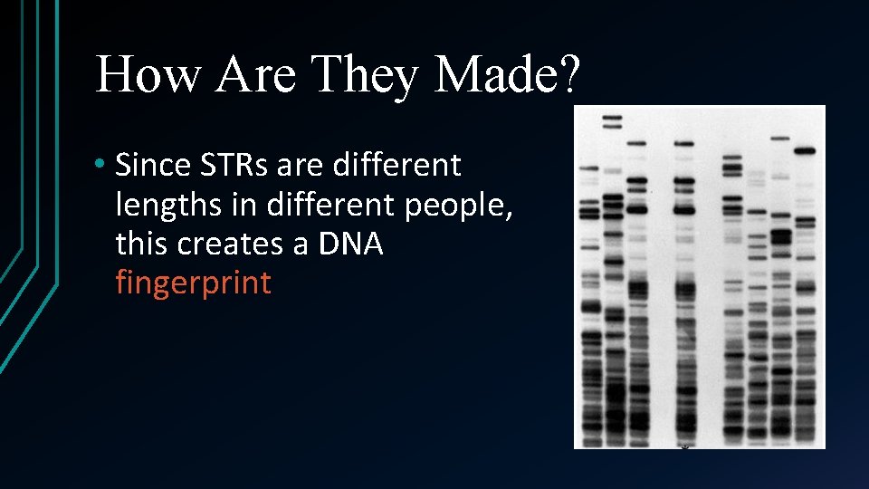 How Are They Made? • Since STRs are different lengths in different people, this