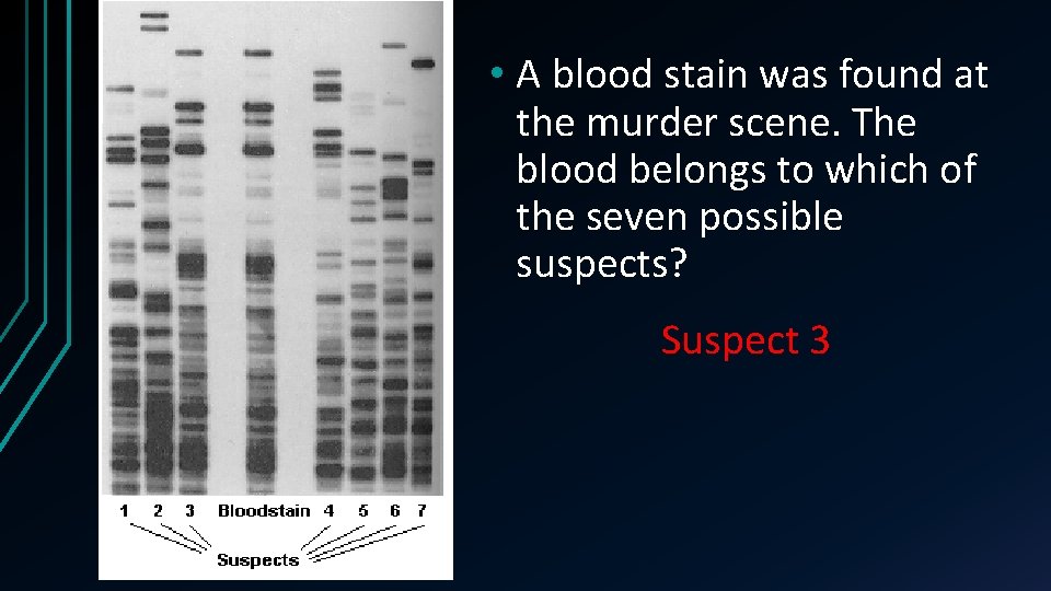  • A blood stain was found at the murder scene. The blood belongs