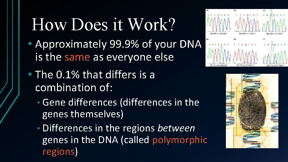 How Does it Work? • Approximately 99. 9% of your DNA is the same