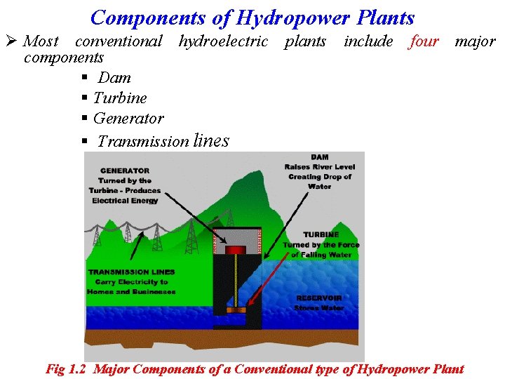 Components of Hydropower Plants Ø Most conventional hydroelectric components § Dam § Turbine §