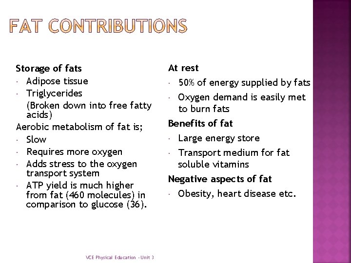 Storage of fats Adipose tissue Triglycerides (Broken down into free fatty acids) Aerobic metabolism