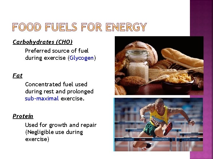 Carbohydrates (CHO) Preferred source of fuel during exercise (Glycogen) Fat Concentrated fuel used during