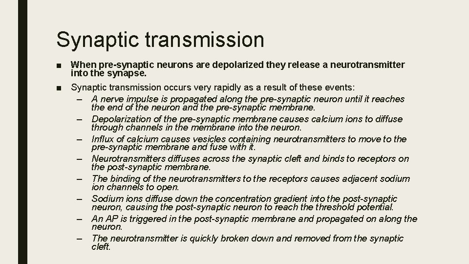 Synaptic transmission ■ When pre-synaptic neurons are depolarized they release a neurotransmitter into the