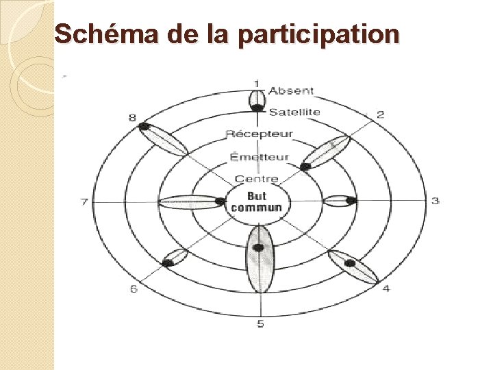 Schéma de la participation 