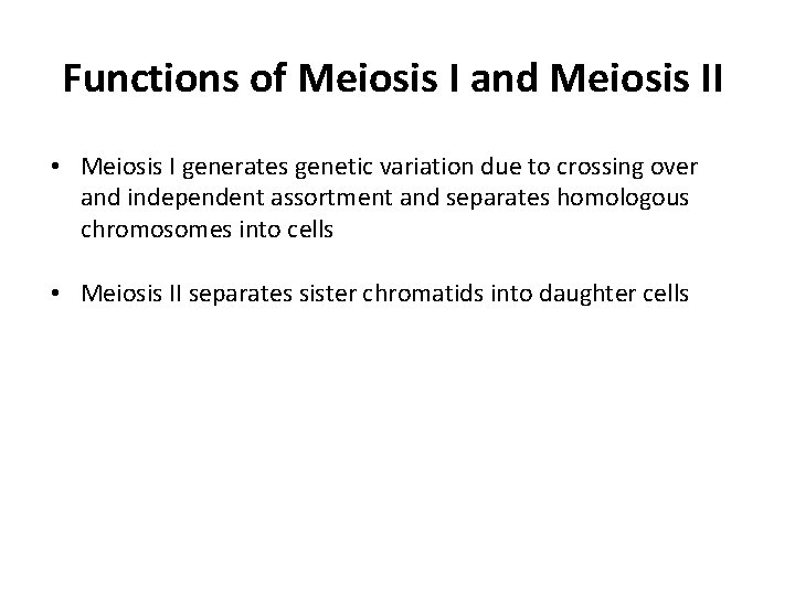 Functions of Meiosis I and Meiosis II • Meiosis I generates genetic variation due