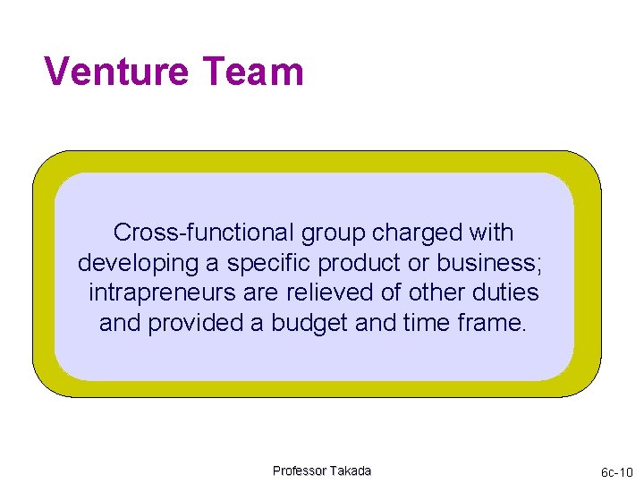 Venture Team Cross-functional group charged with developing a specific product or business; intrapreneurs are