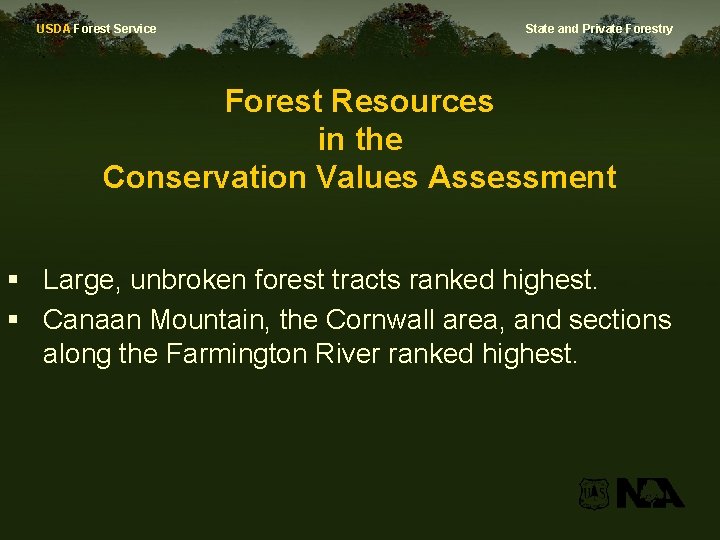 USDA Forest Service State and Private Forestry Forest Resources in the Conservation Values Assessment