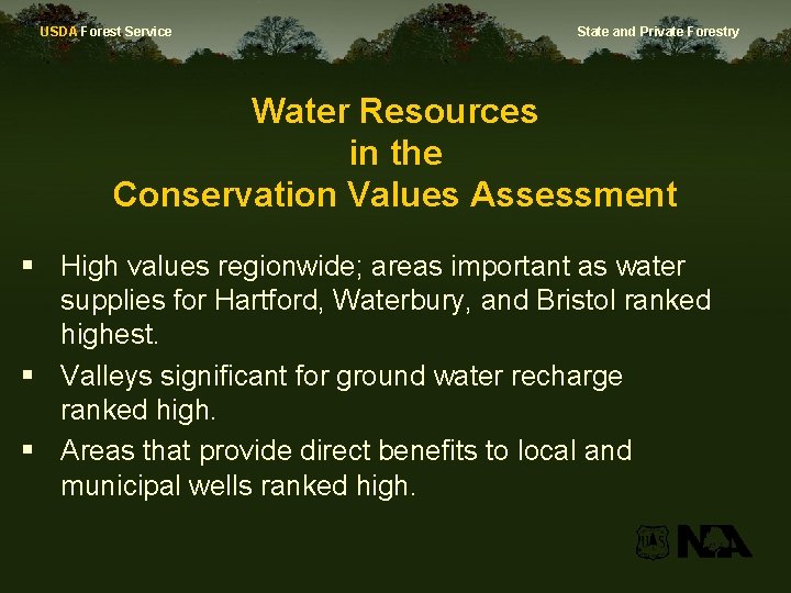 USDA Forest Service State and Private Forestry Water Resources in the Conservation Values Assessment