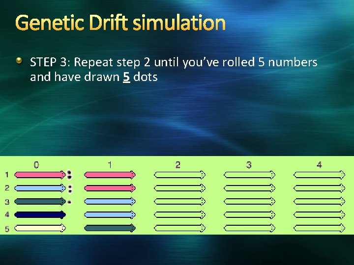 Genetic Drift simulation STEP 3: Repeat step 2 until you’ve rolled 5 numbers and