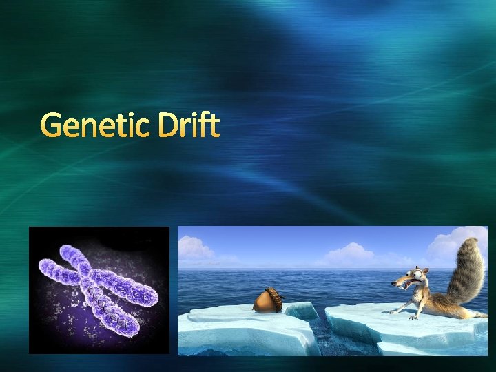 Genetic Drift 