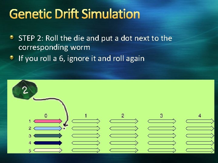 Genetic Drift Simulation STEP 2: Roll the die and put a dot next to
