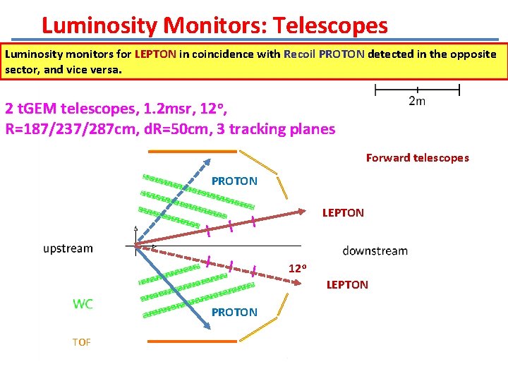 Luminosity Monitors: Telescopes Luminosity monitors for LEPTON in coincidence with Recoil PROTON detected in