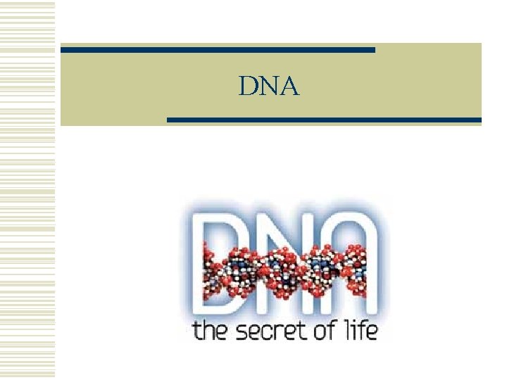 DNA 