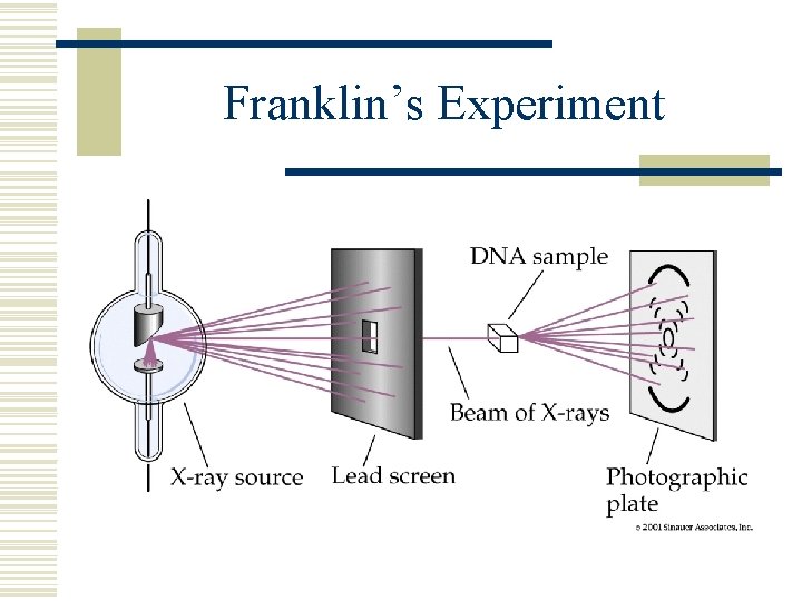 Franklin’s Experiment 