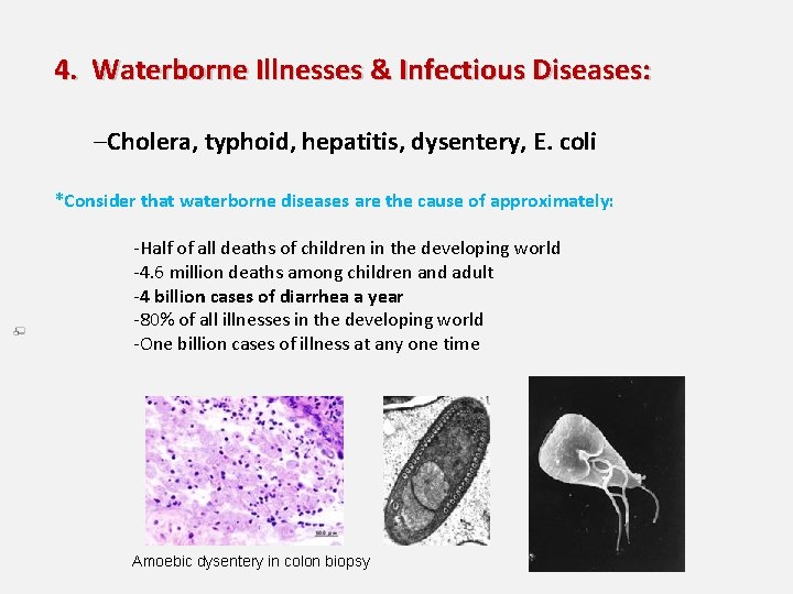 4. Waterborne Illnesses & Infectious Diseases: –Cholera, typhoid, hepatitis, dysentery, E. coli *Consider that