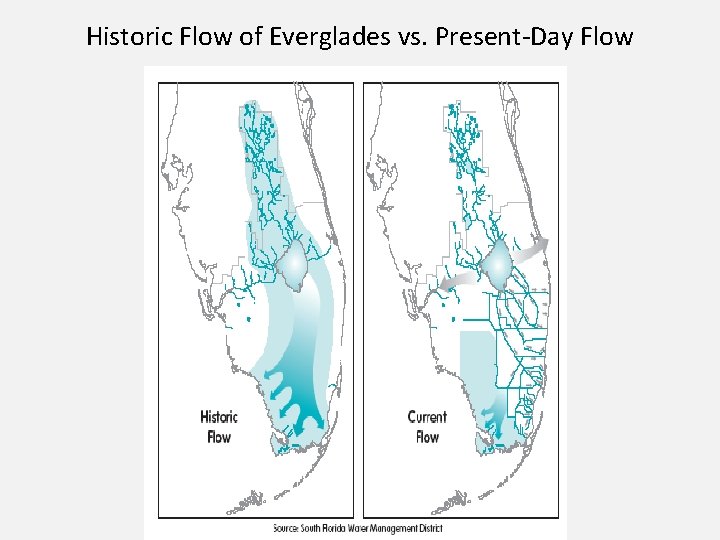 Historic Flow of Everglades vs. Present-Day Flow 