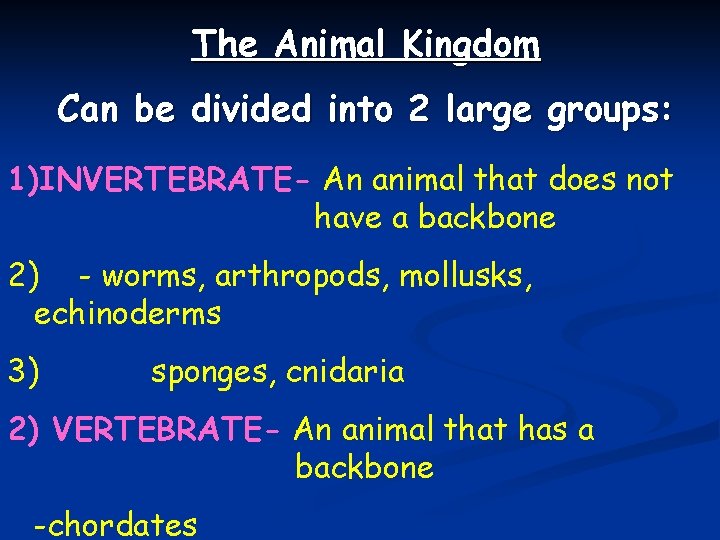 The Animal Kingdom Can be divided into 2 large groups: 1)INVERTEBRATE- An animal that
