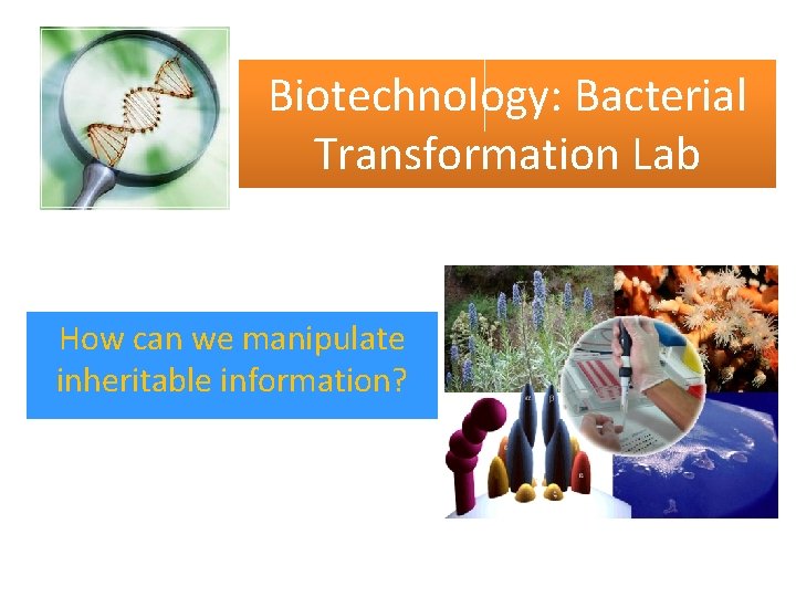 Biotechnology: Bacterial Transformation Lab How can we manipulate inheritable information? 