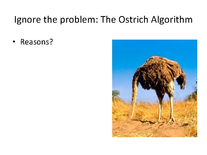 Ignore the problem: The Ostrich Algorithm • Reasons? – Rare – Not serious –