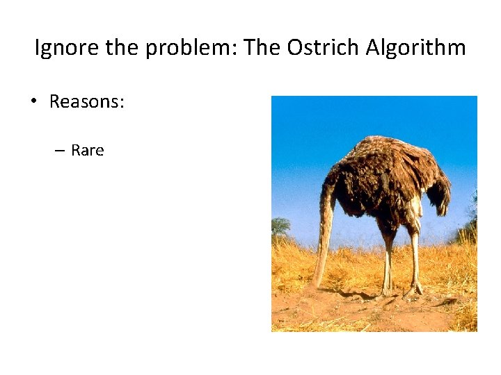 Ignore the problem: The Ostrich Algorithm • Reasons: – Rare – Not serious –