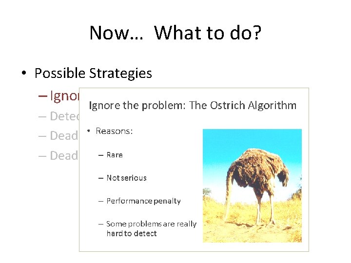 Now… What to do? • Possible Strategies – Ignore! – Detection and Recovery –