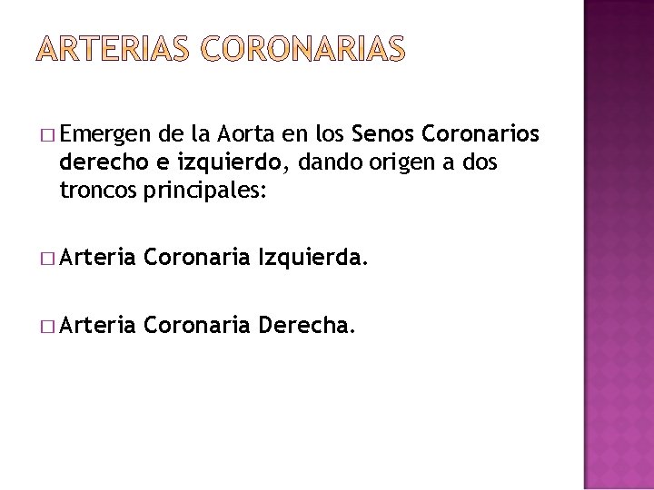 � Emergen de la Aorta en los Senos Coronarios derecho e izquierdo, dando origen