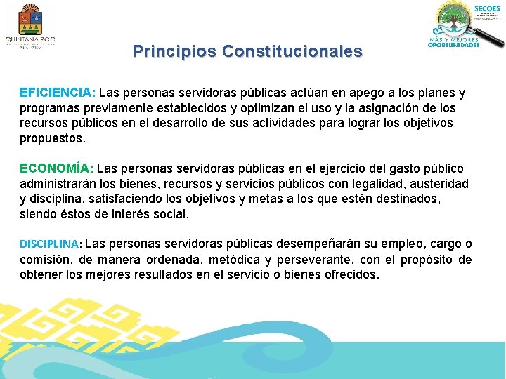 Principios Constitucionales EFICIENCIA: Las personas servidoras públicas actúan en apego a los planes y