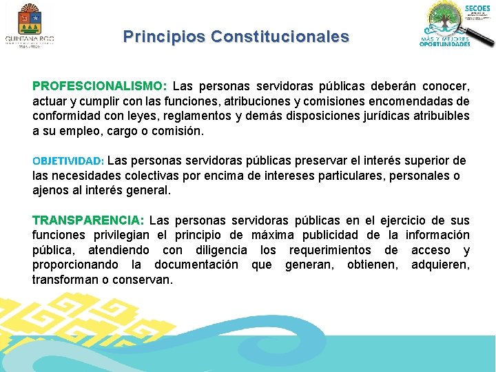 Principios Constitucionales PROFESCIONALISMO: Las personas servidoras públicas deberán conocer, actuar y cumplir con las