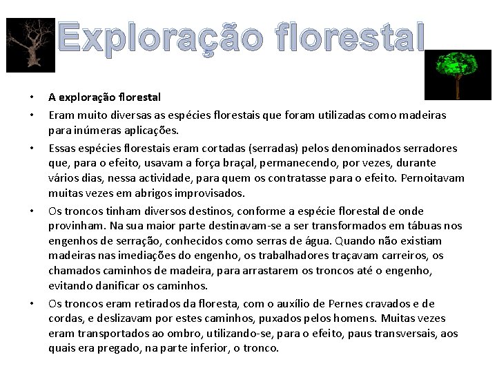 Exploração florestal • • • A exploração florestal Eram muito diversas as espécies florestais