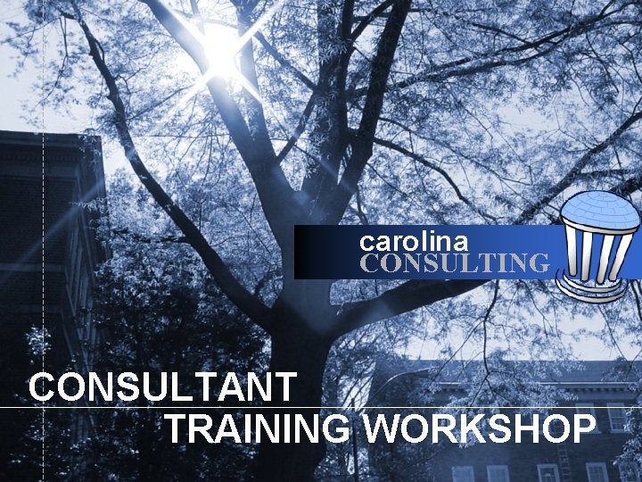 carolina CONSULTING CONSULTANT TRAINING WORKSHOP 