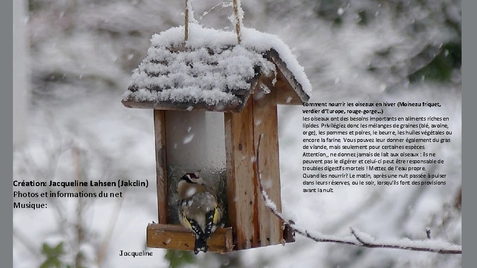Création: Jacqueline Lahsen (Jakclin) Photos et informations du net Musique: Comment nourrir les oiseaux