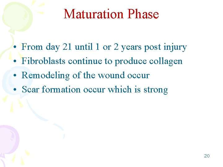 Maturation Phase • • From day 21 until 1 or 2 years post injury