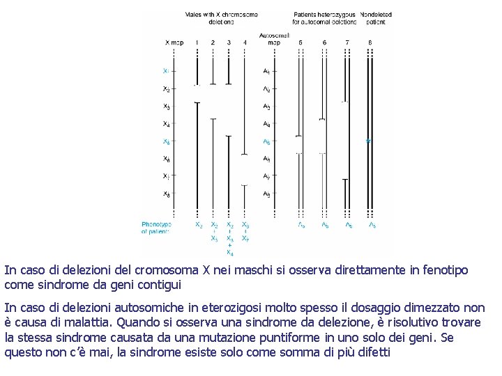 In caso di delezioni del cromosoma X nei maschi si osserva direttamente in fenotipo