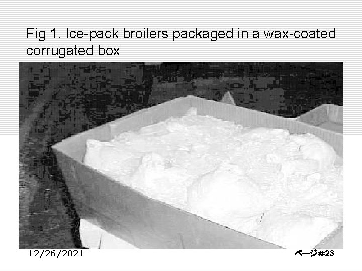 Fig 1. Ice-pack broilers packaged in a wax-coated corrugated box 12/26/2021 ページ＃23 