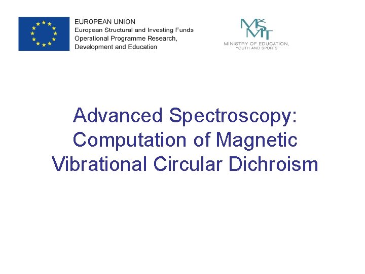 Advanced Spectroscopy: Computation of Magnetic Vibrational Circular Dichroism 