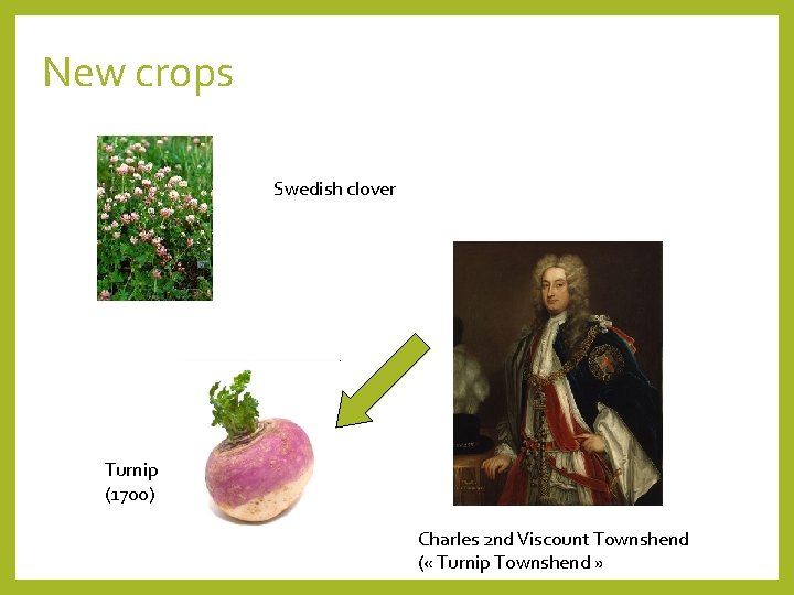 New crops Swedish clover Turnip (1700) Charles 2 nd Viscount Townshend ( « Turnip