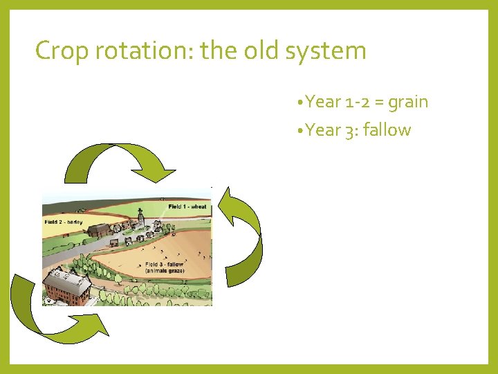 Crop rotation: the old system • Year 1 -2 = grain • Year 3: