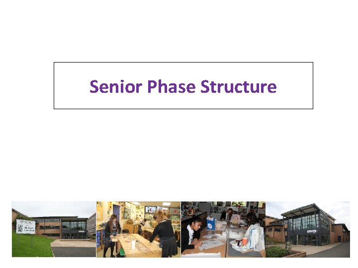 Senior Phase Structure 