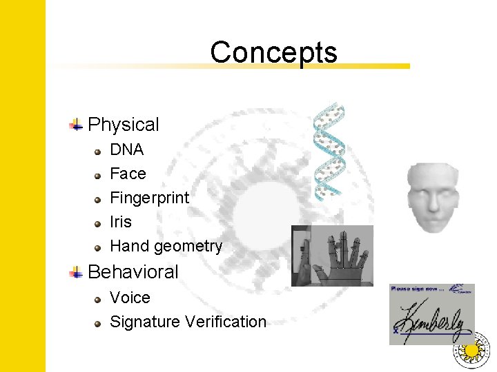 Concepts Physical DNA Face Fingerprint Iris Hand geometry Behavioral Voice Signature Verification 