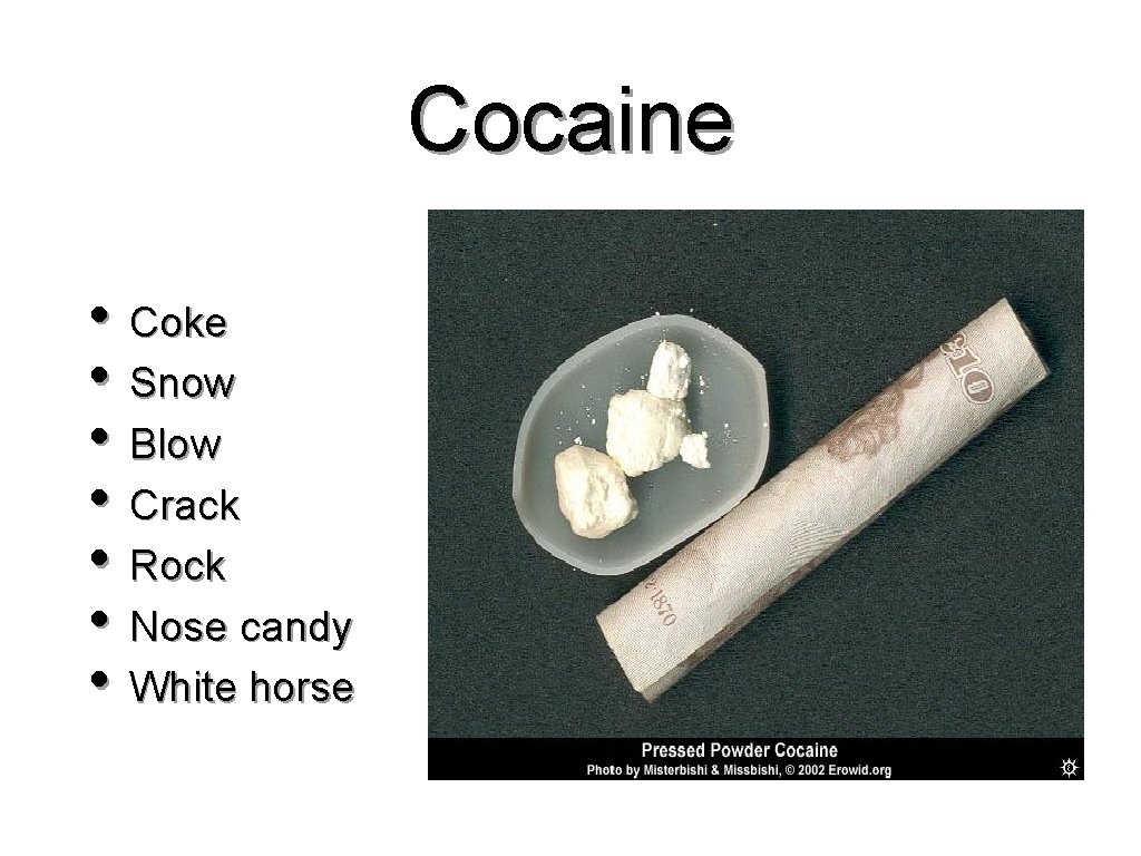 Cocaine • Coke • Snow • Blow • Crack • Rock • Nose candy