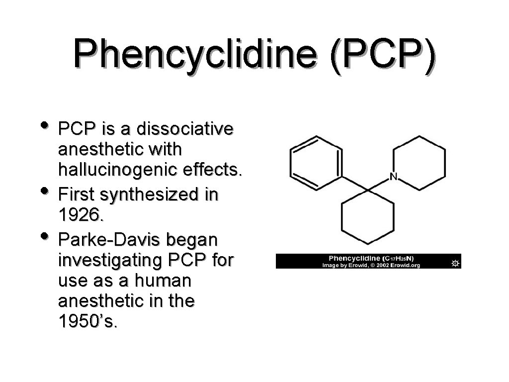 Phencyclidine (PCP) • PCP is a dissociative • • anesthetic with hallucinogenic effects. First