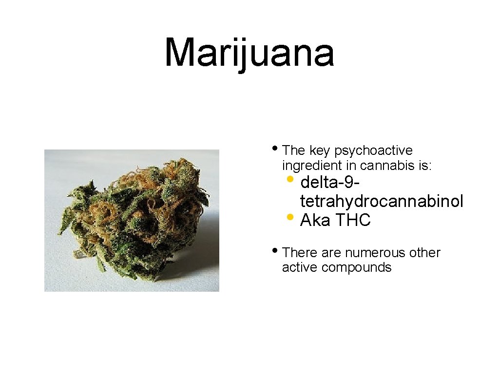 Marijuana • The key psychoactive ingredient in cannabis is: • delta-9 tetrahydrocannabinol • Aka