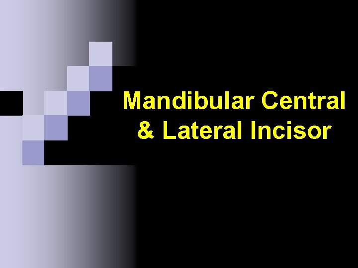 Mandibular Central & Lateral Incisor 