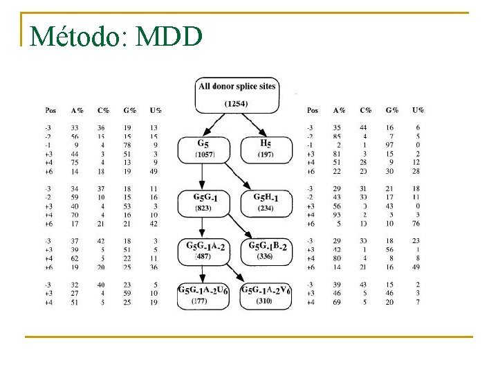 Método: MDD 